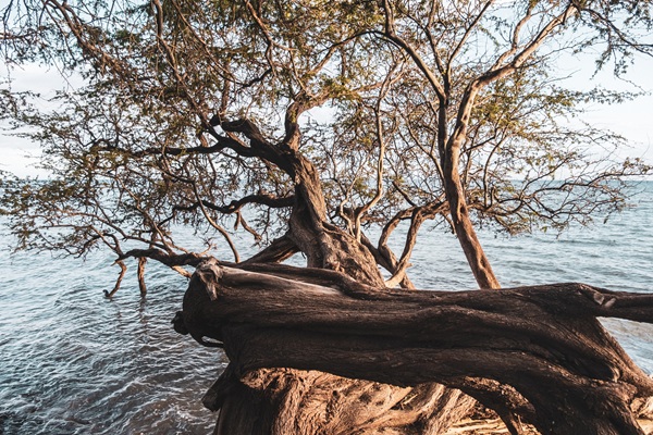 Developing Resiliency